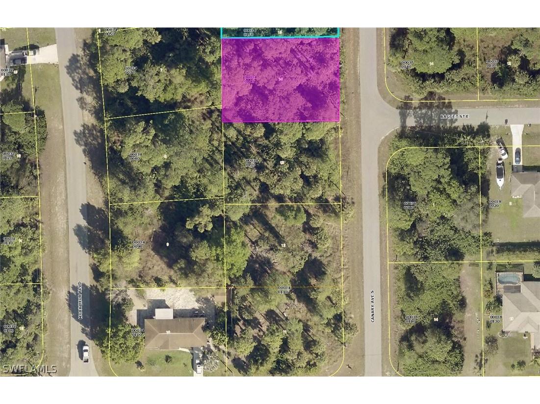 174 Canary Avenue S Lehigh Acres FL 33974 222089599 image1