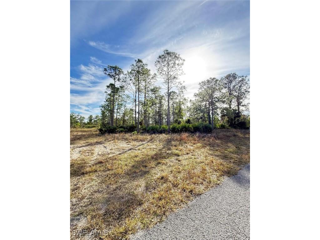 175 N Concord Terrace Labelle FL 33935 225047037 image3