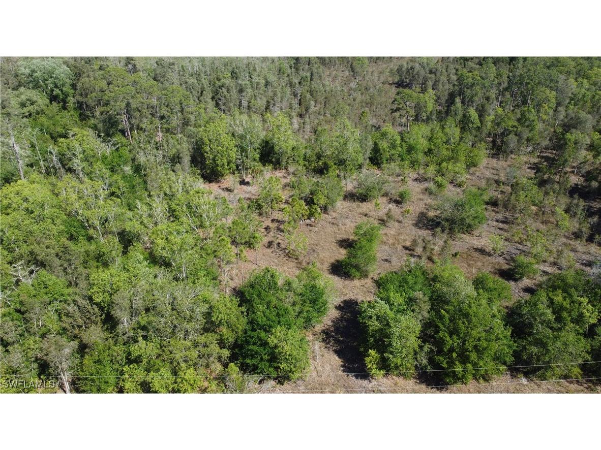 17731 Richard Road Fort Myers FL 33913 225027173 image1