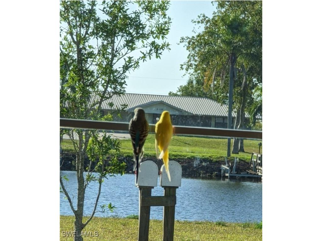 1792 Riverside Drive Moore Haven FL 33471 224095028 image5