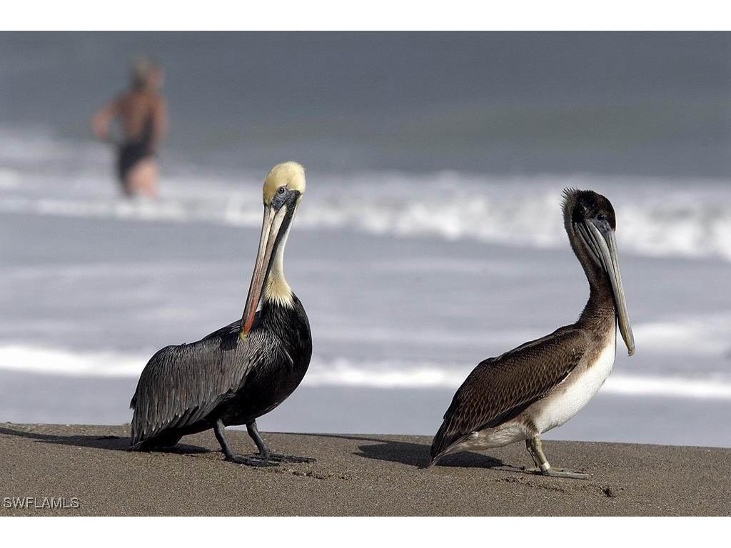 180 Seaview Court #111 Marco Island FL 34145 225051977 image24