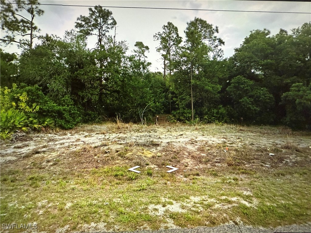 1801 E 15th Street Lehigh Acres FL 33972 225004509 image1