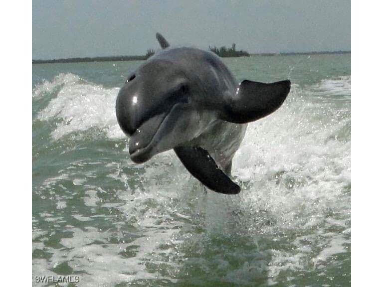 18038 San Carlos Boulevard #115 Fort Myers Beach FL 33931 225050961 image48