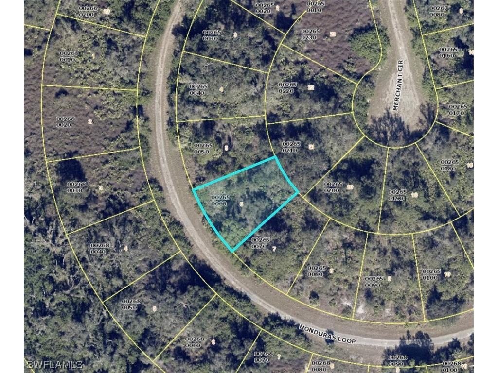 1809 Honduras Loop Lehigh Acres FL 33972 224015179 image1