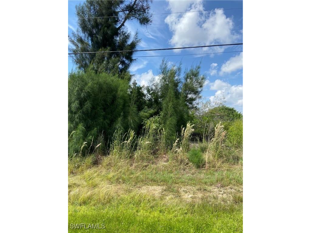 1824 SW Embers Lane Cape Coral FL 33991 224065203 image4