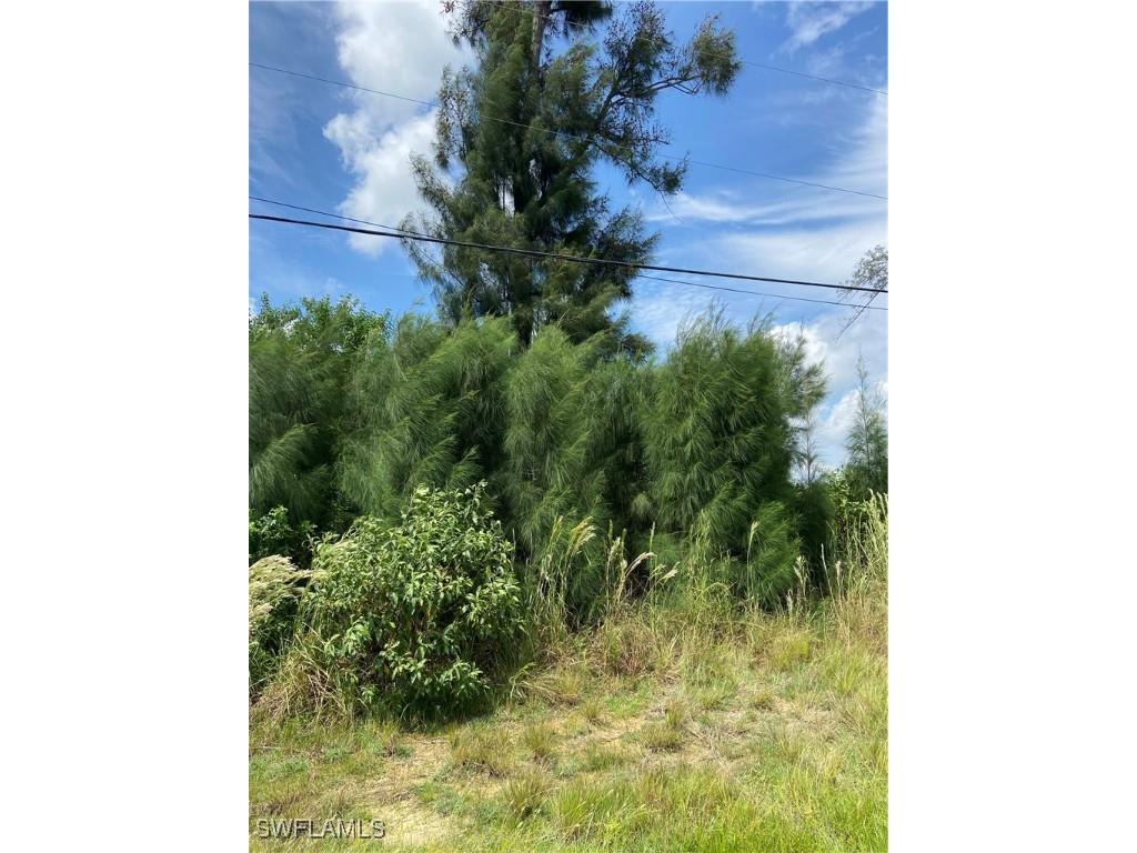 1824 SW Embers Lane Cape Coral FL 33991 224065203 image6