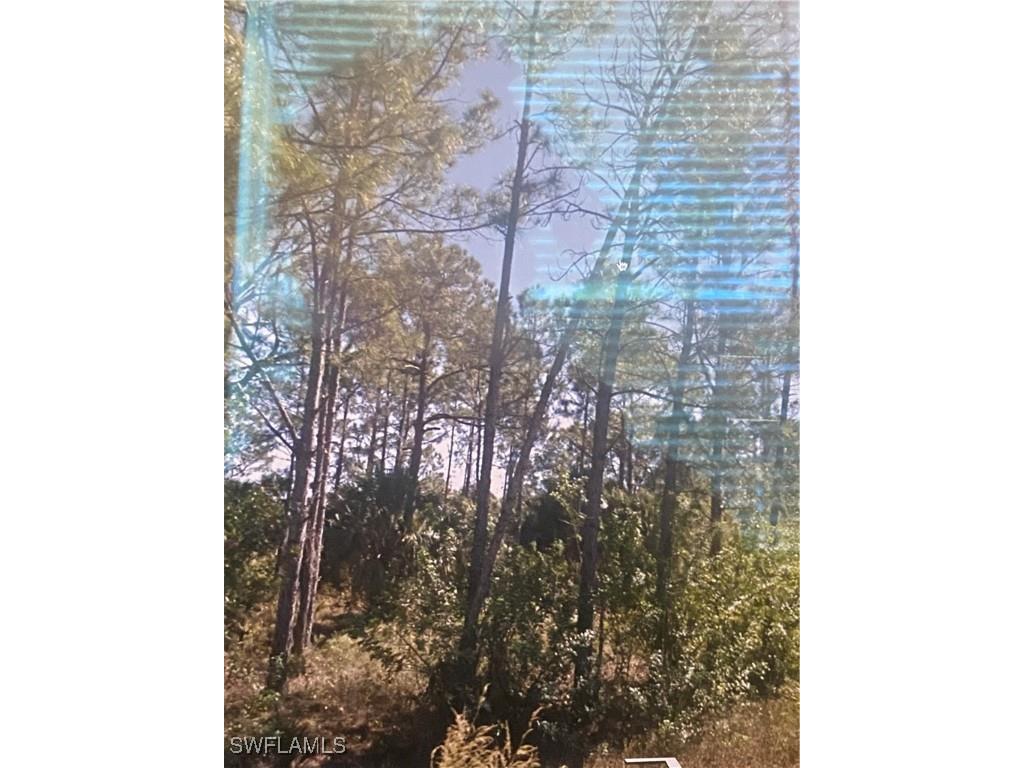 1868 Newtonia Street Lehigh Acres FL 33972 225055388 image2