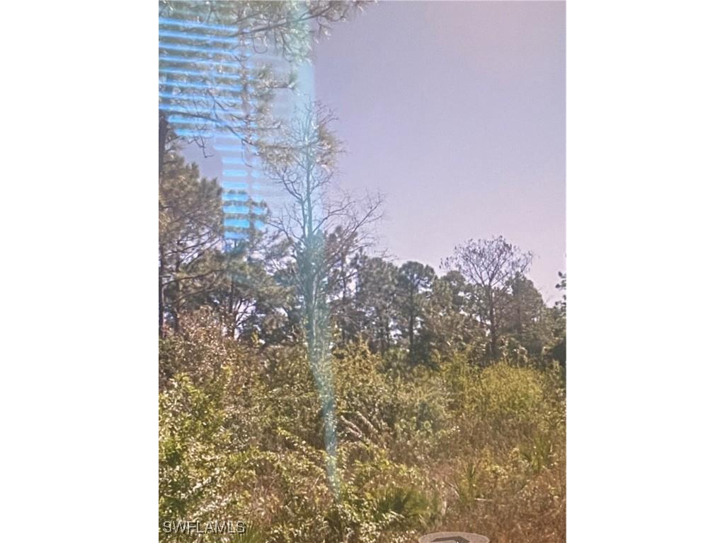 1868 Newtonia Street Lehigh Acres FL 33972 225055388 image3