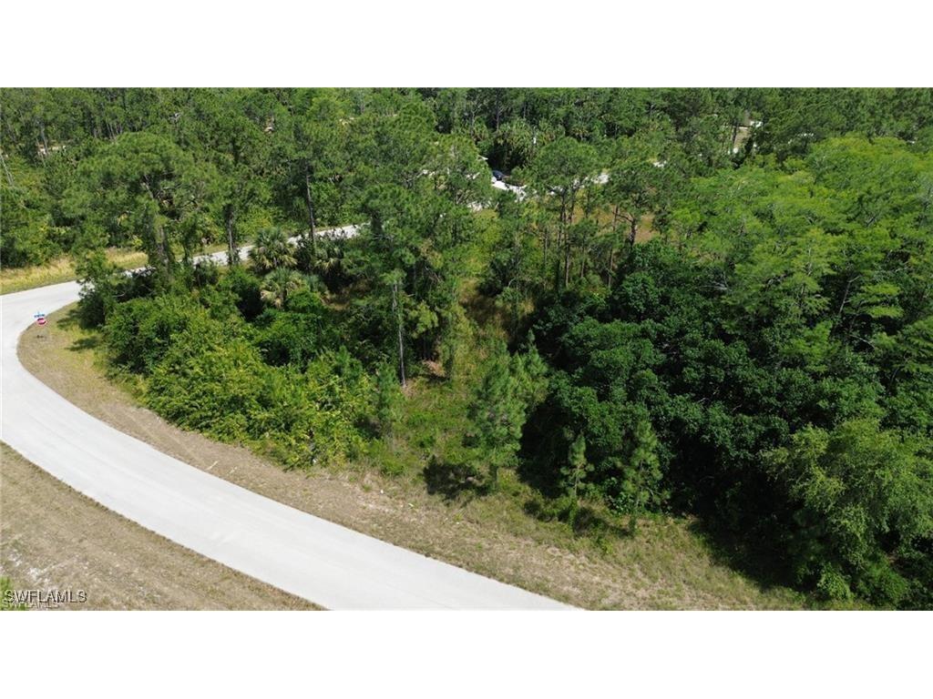 1882 Vintage Avenue Lehigh Acres FL 33972 225009295 image2