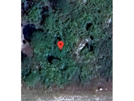 1904 W 11th Street Lehigh Acres FL 33972 225002609 image4