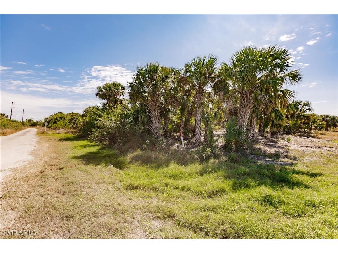 19155 Midway Boulevard Port Charlotte FL 33948 225025338 image19