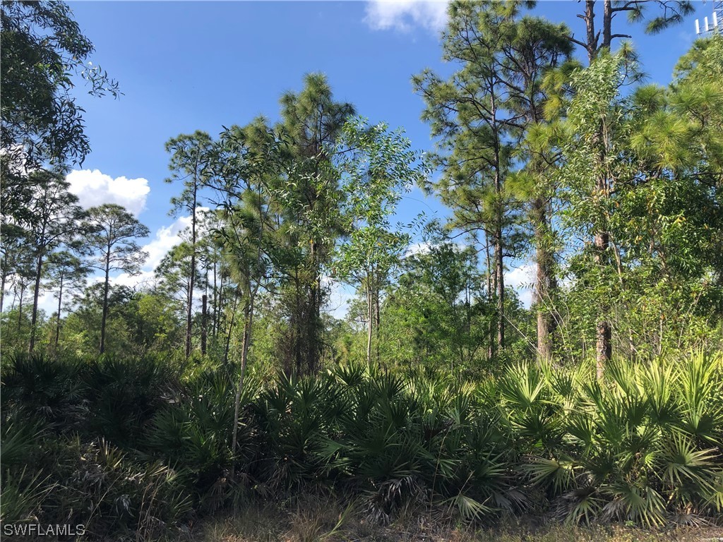 19665 Immokalee Road Naples FL 34120 220069735 image12