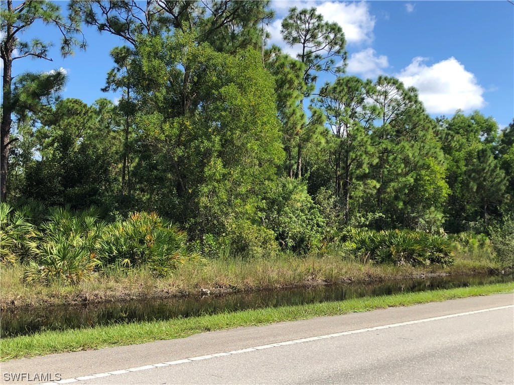 19665 Immokalee Road Naples FL 34120 220069735 image2