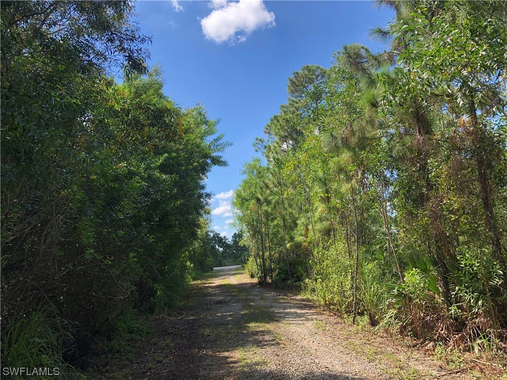 19665 Immokalee Road Naples FL 34120 220069735 image4