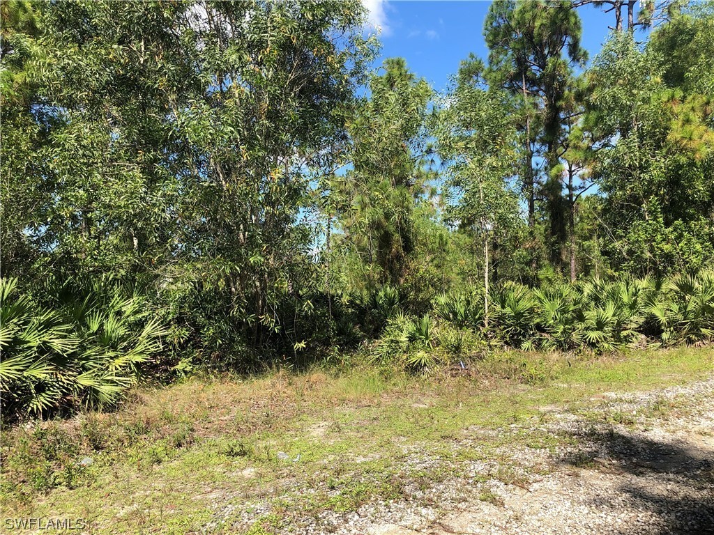 19665 Immokalee Road Naples FL 34120 220069735 image5