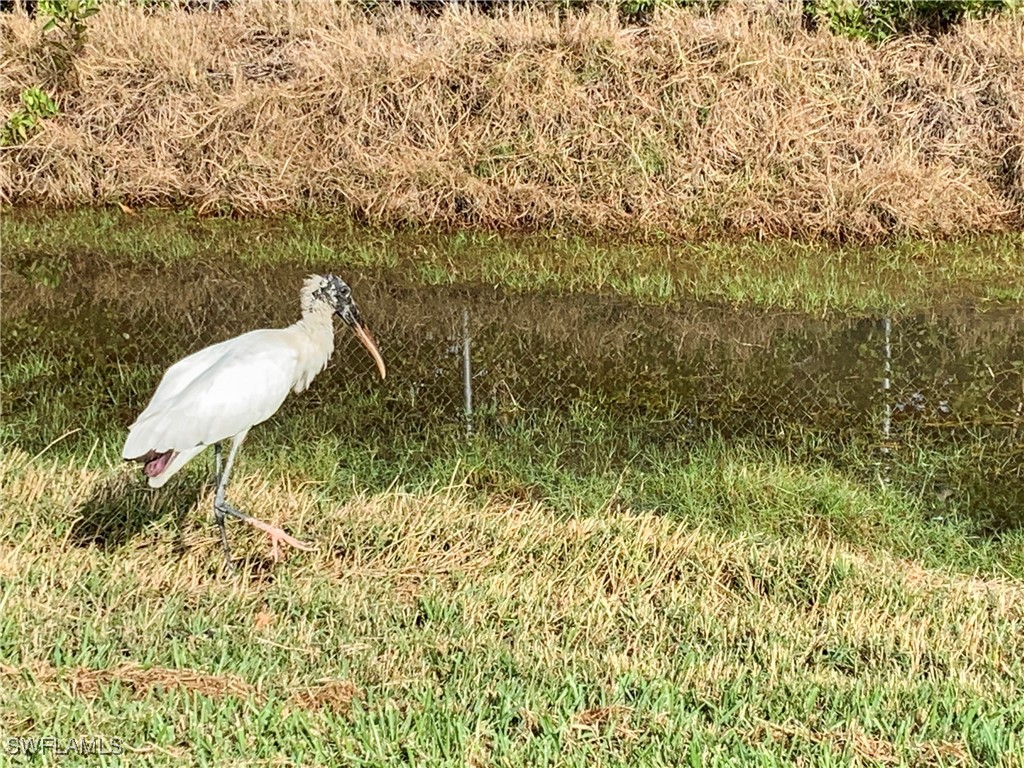 19681 Summerlin #609t Road Fort Myers FL 33908 225012800 image5