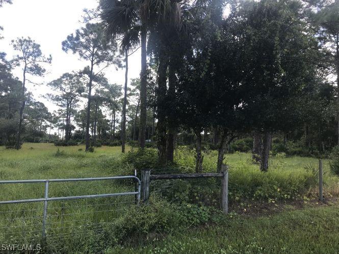 19950 Palm Beach Boulevard Alva FL 33920 225028372 image3