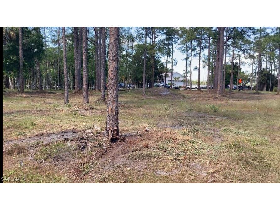 19950 Palm Beach Boulevard Alva FL 33920 225028372 image4