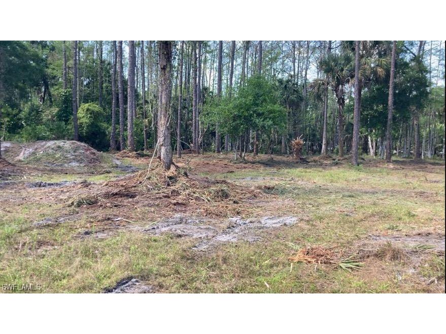 19950 Palm Beach Boulevard Alva FL 33920 225028372 image5