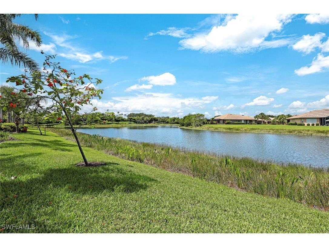 20030 Barletta Lane #411 Estero FL 33928 225051297 image18