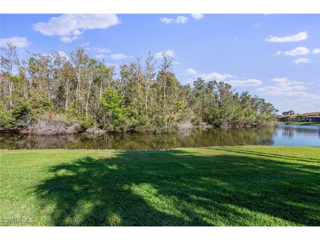 20190 Golden Panther Drive #3 Estero FL 33928 224100846 image43