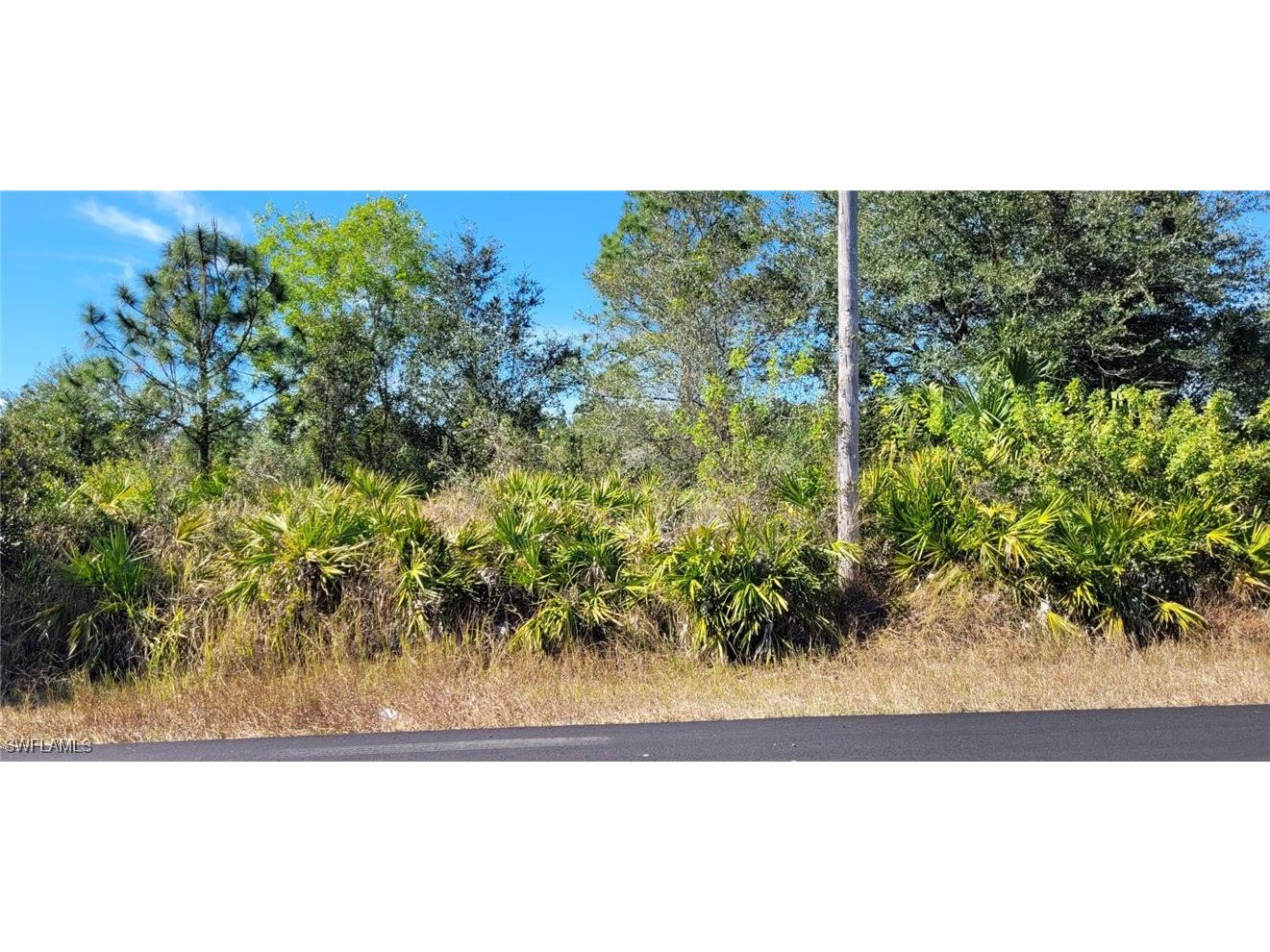 2020 Monroe Avenue Alva FL 33920 224070008 image1