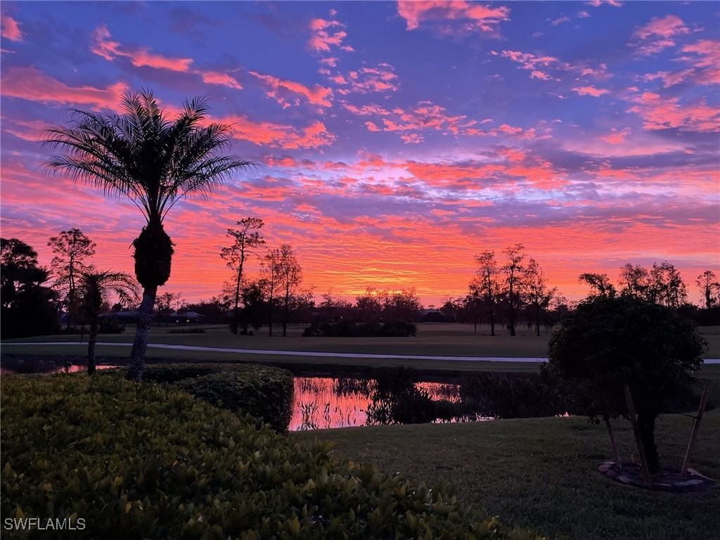 20273 Leopard Lane Estero FL 33928 225004057 image1