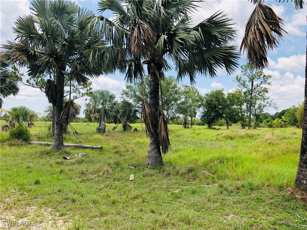 20501 Williams Drive North Fort Myers FL 33917 225048981 image2