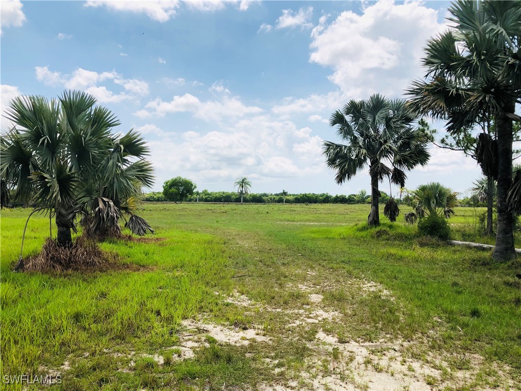 20501 Williams Drive North Fort Myers FL 33917 225048981 image3