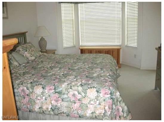 20573 Candlewood Hollow Estero FL 33928 225038700 image9