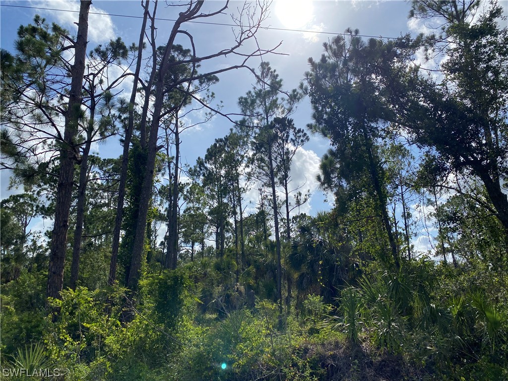 2063 Fernwood Street Port Charlotte FL 33948 223044422 image2