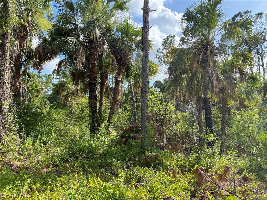 2063 Fernwood Street Port Charlotte FL 33948 223044422 image3