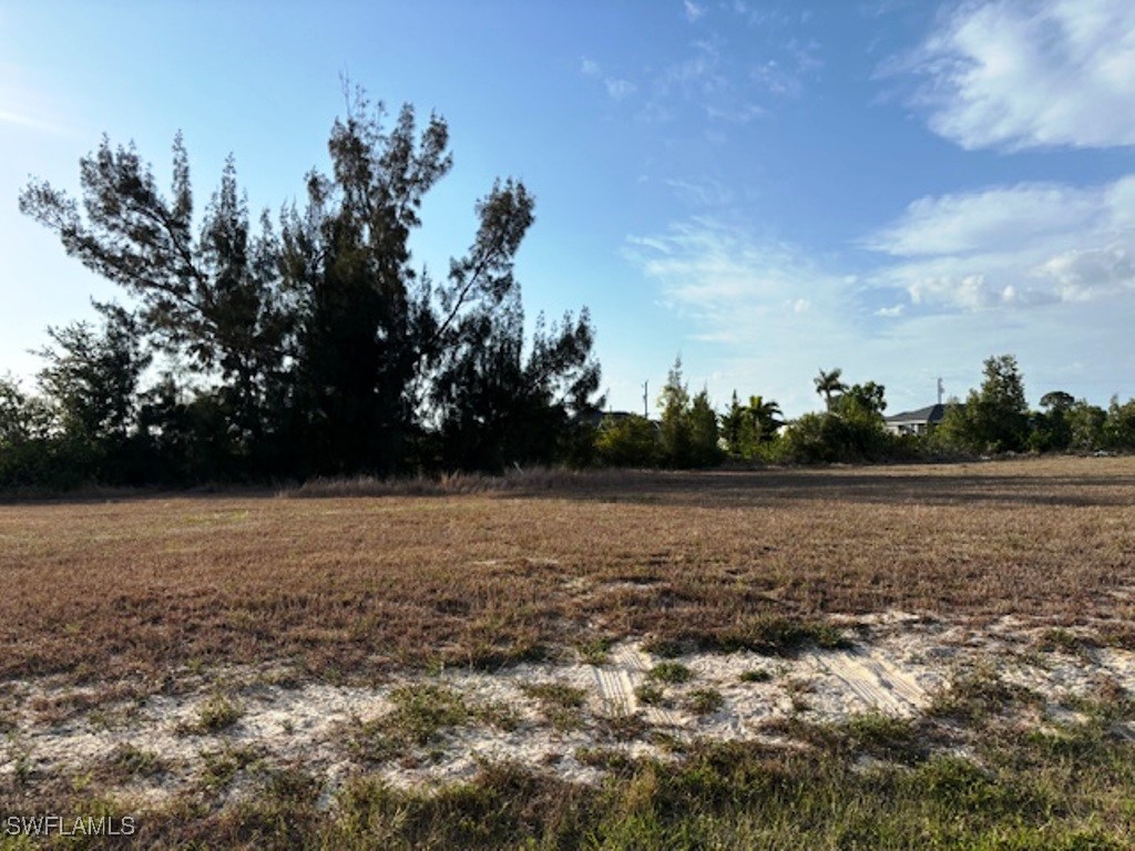 2113 NW 14th Lane Cape Coral FL 33993 225041708 image4