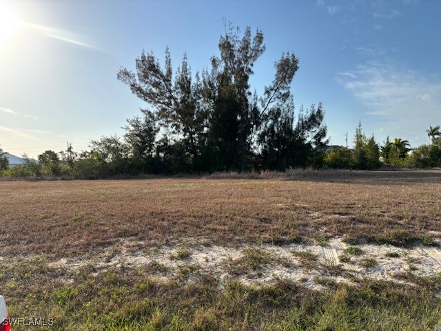 2113 NW 14th Lane Cape Coral FL 33993 225041708 image5