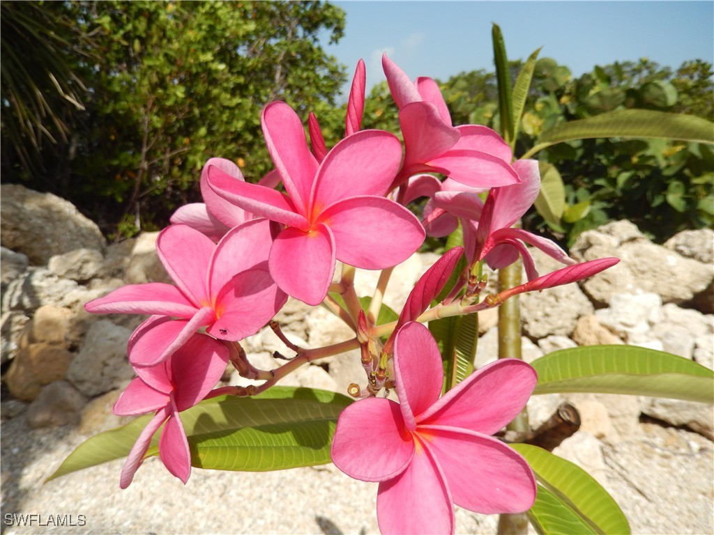 21521 Widgeon Terrace Fort Myers Beach FL 33931 225051379 image49