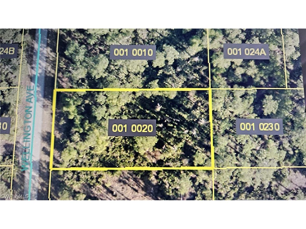 22 Wellington Avenue E Lehigh Acres FL 33936 224058692 image1