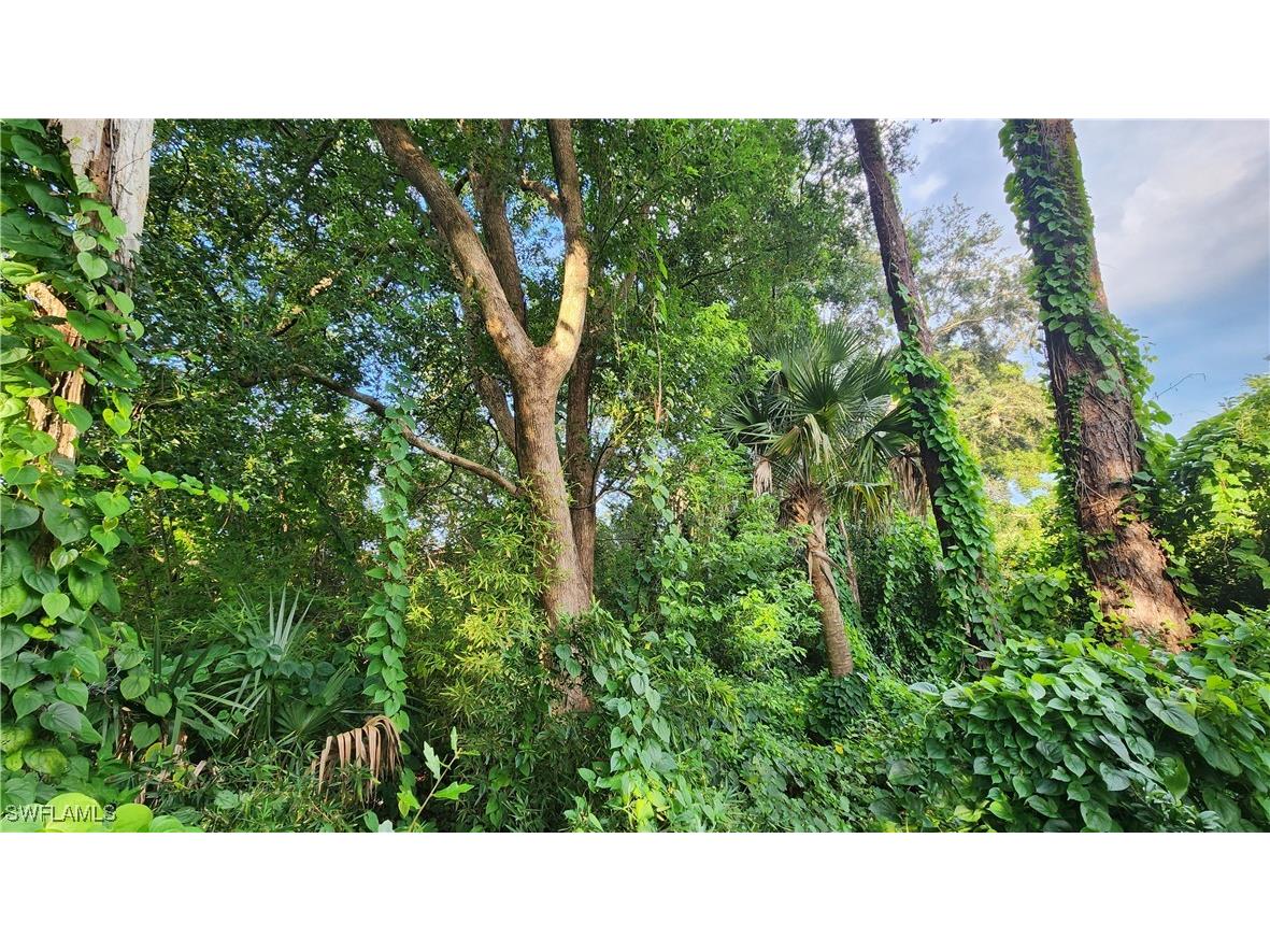 2201 S Goldenrod Road Orlando FL 32822 224078872 image10