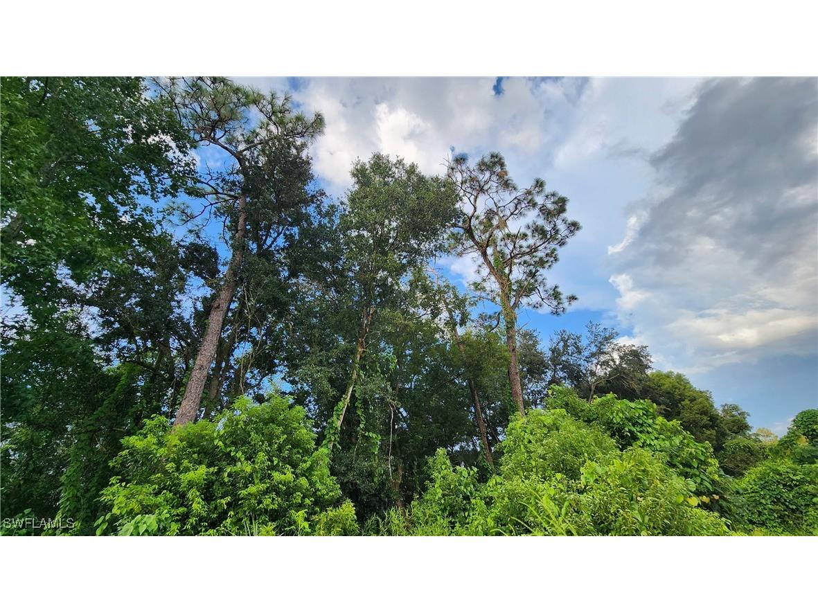 2201 S Goldenrod Road Orlando FL 32822 224078872 image11