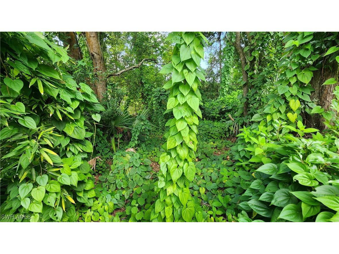 2201 S Goldenrod Road Orlando FL 32822 224078872 image12