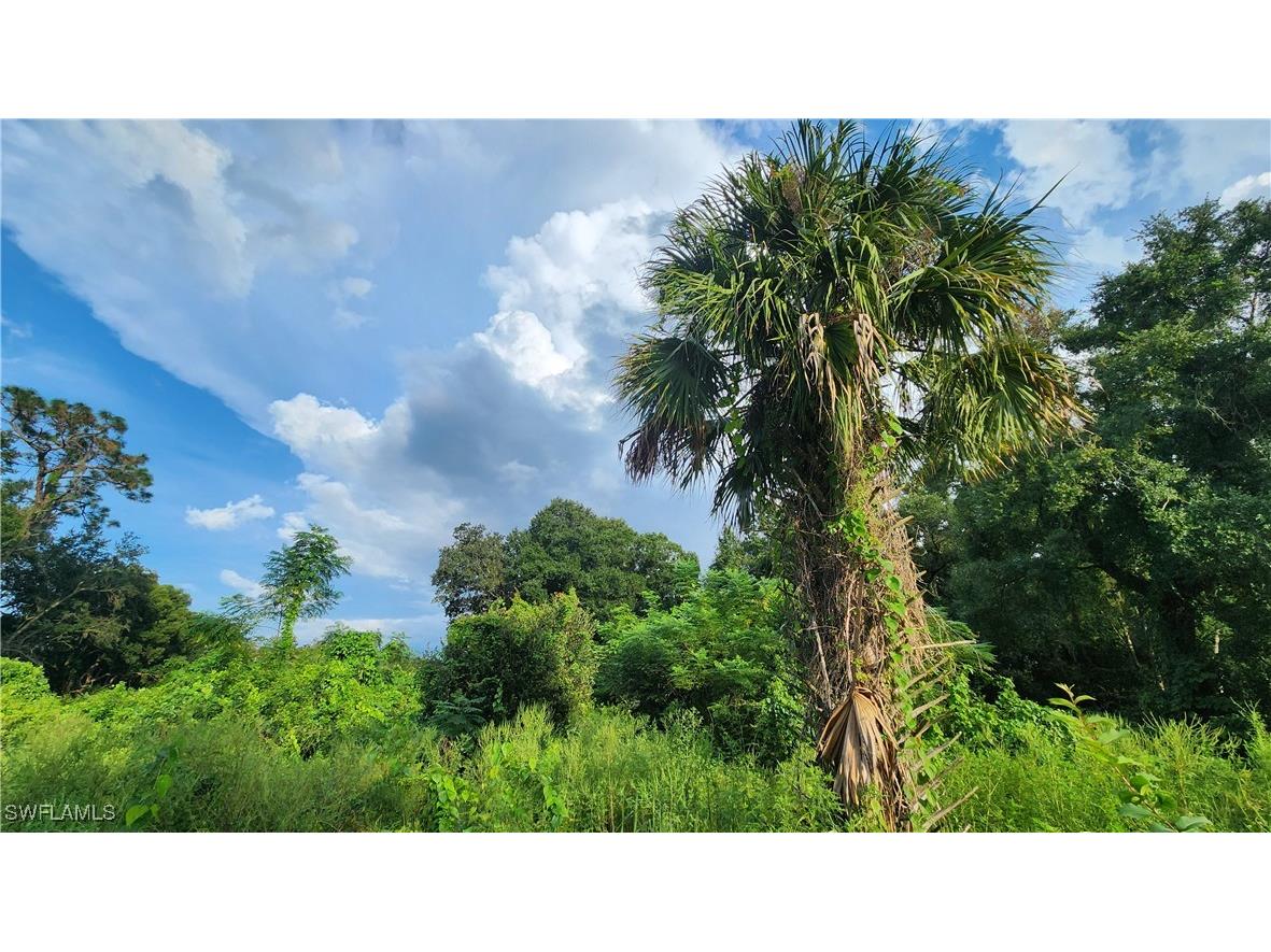 2201 S Goldenrod Road Orlando FL 32822 224078872 image13