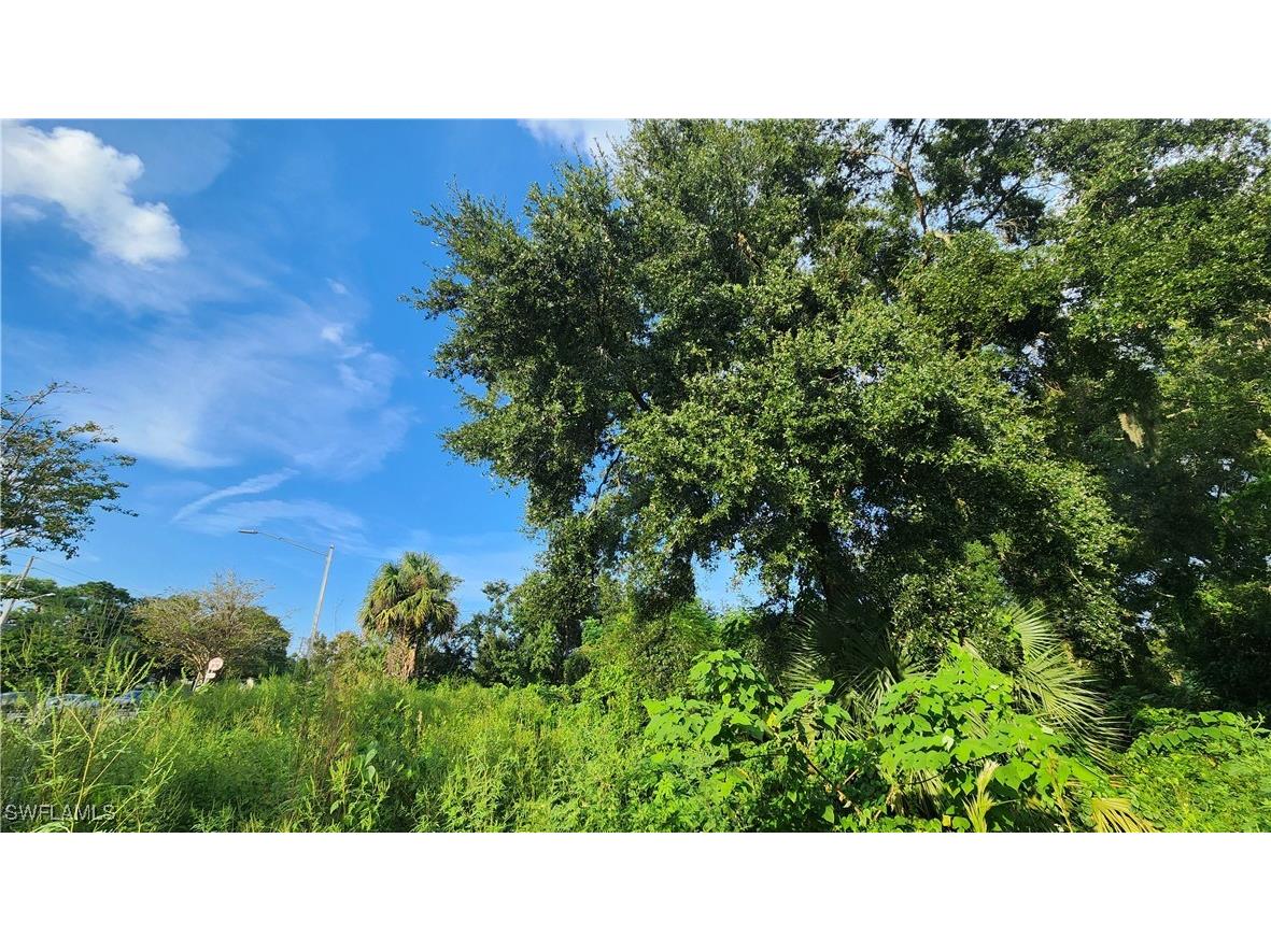 2201 S Goldenrod Road Orlando FL 32822 224078872 image14