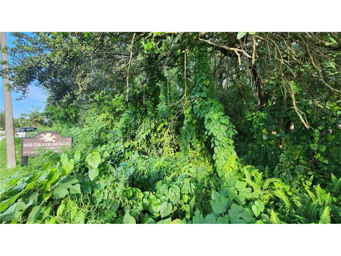 2201 S Goldenrod Road Orlando FL 32822 224078872 image15