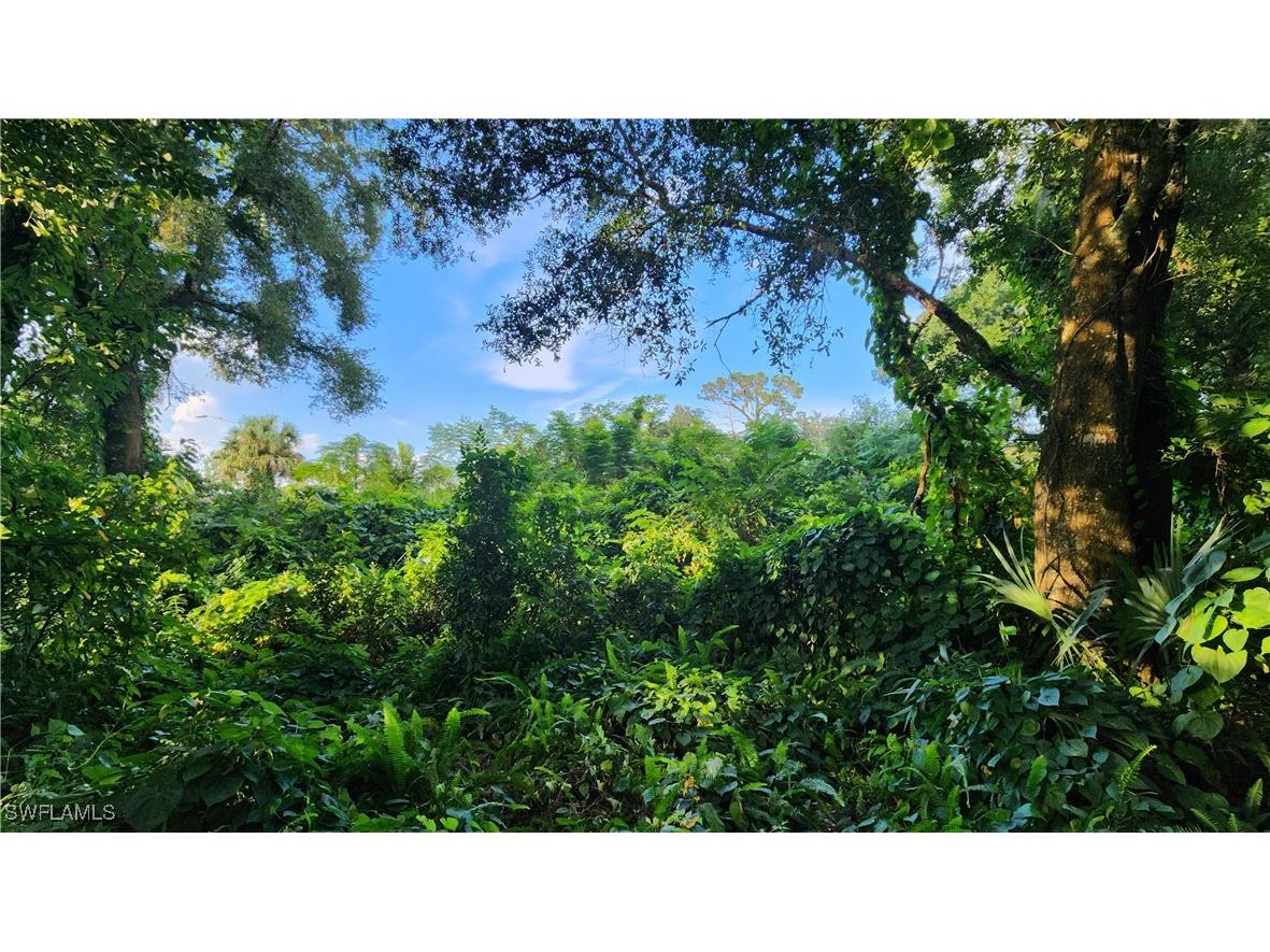 2201 S Goldenrod Road Orlando FL 32822 224078872 image16