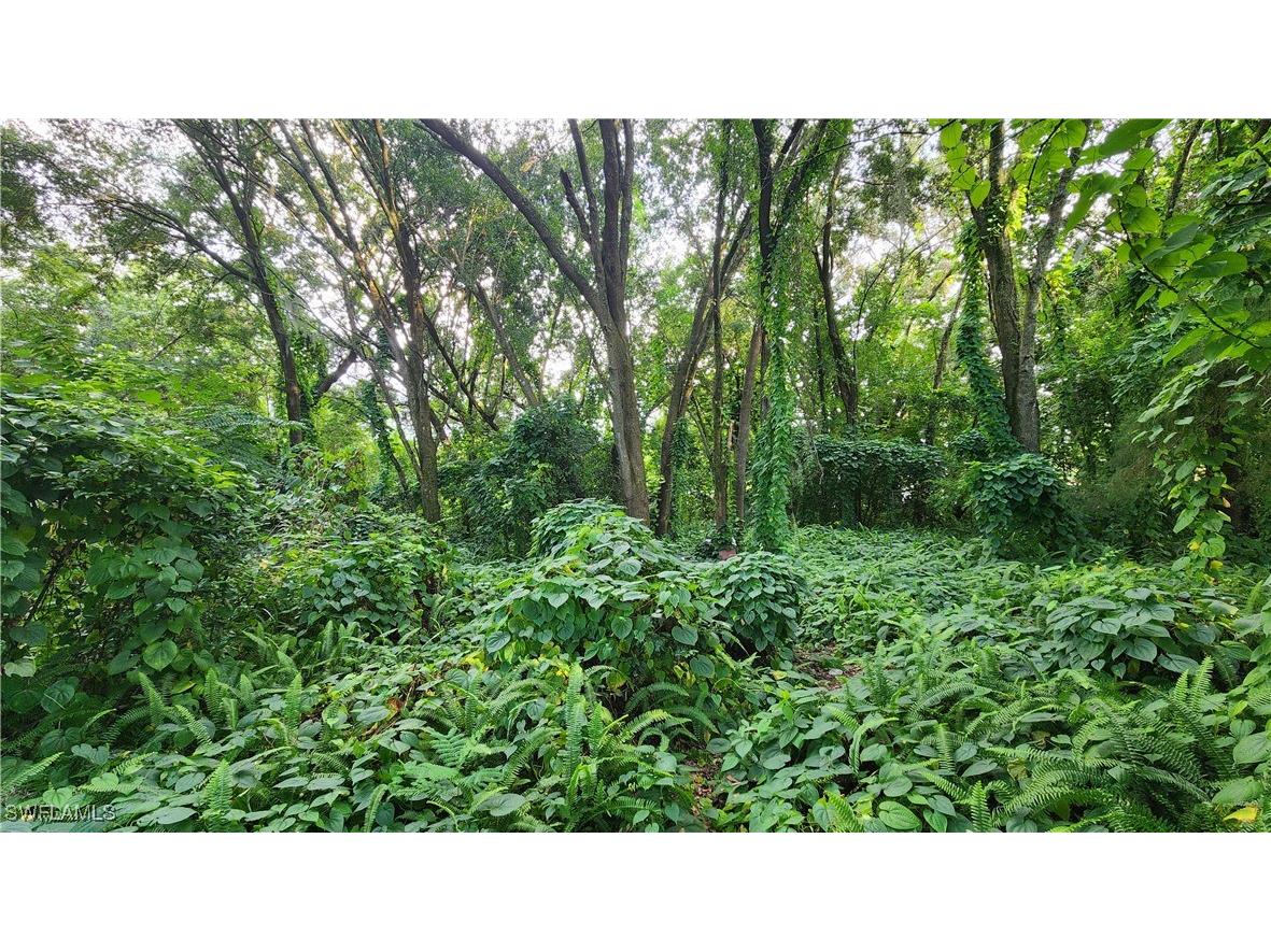 2201 S Goldenrod Road Orlando FL 32822 224078872 image17