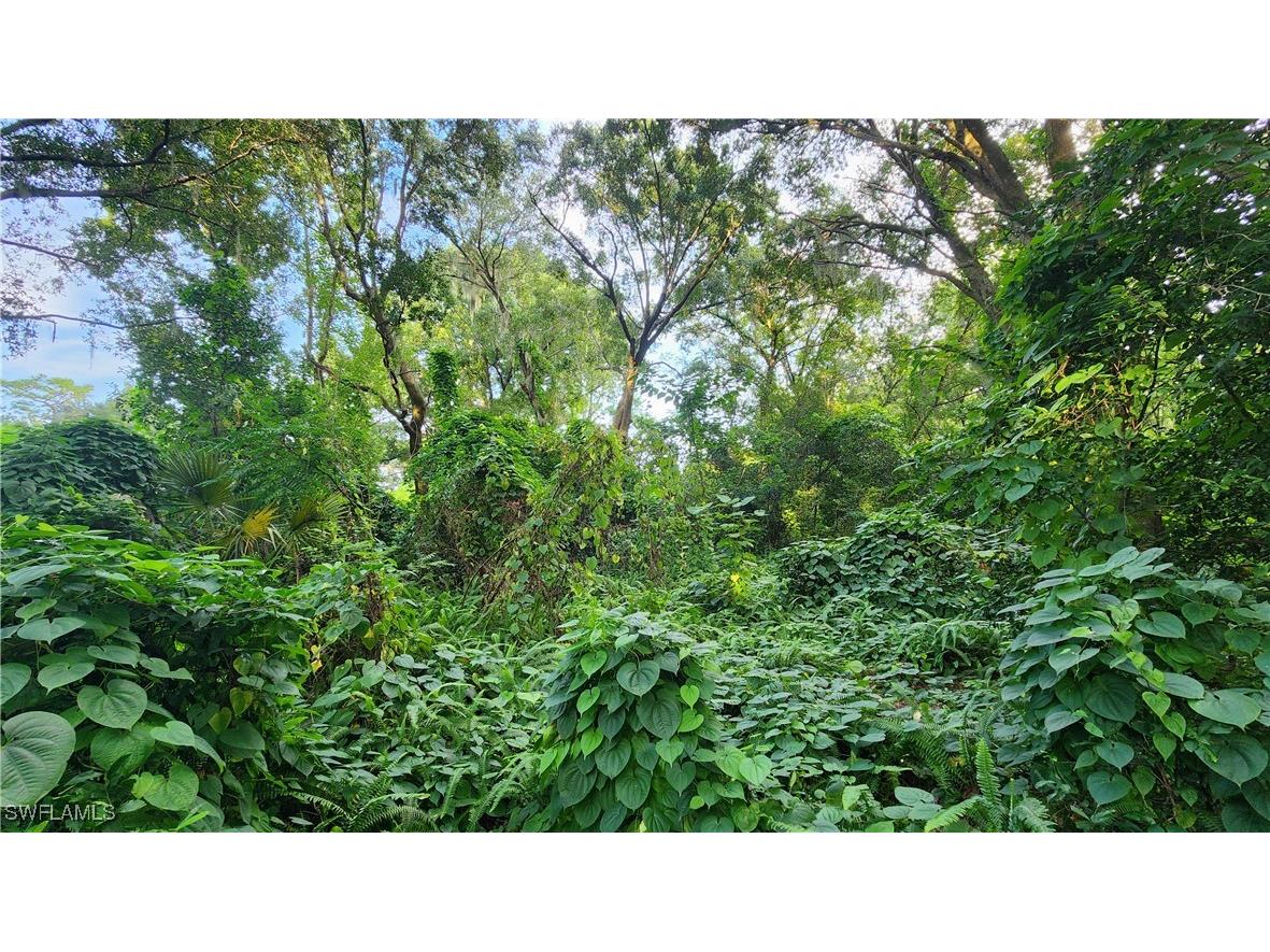 2201 S Goldenrod Road Orlando FL 32822 224078872 image18