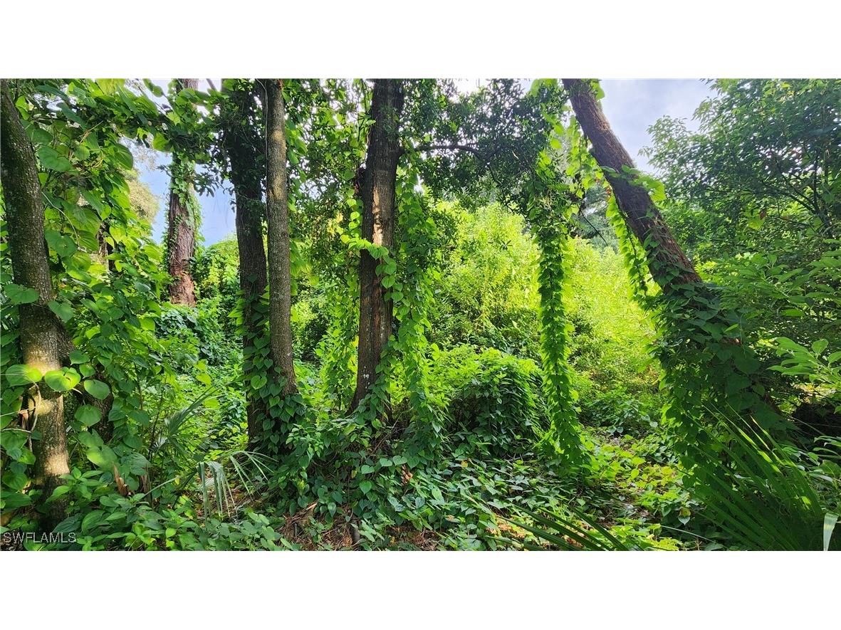 2201 S Goldenrod Road Orlando FL 32822 224078872 image19