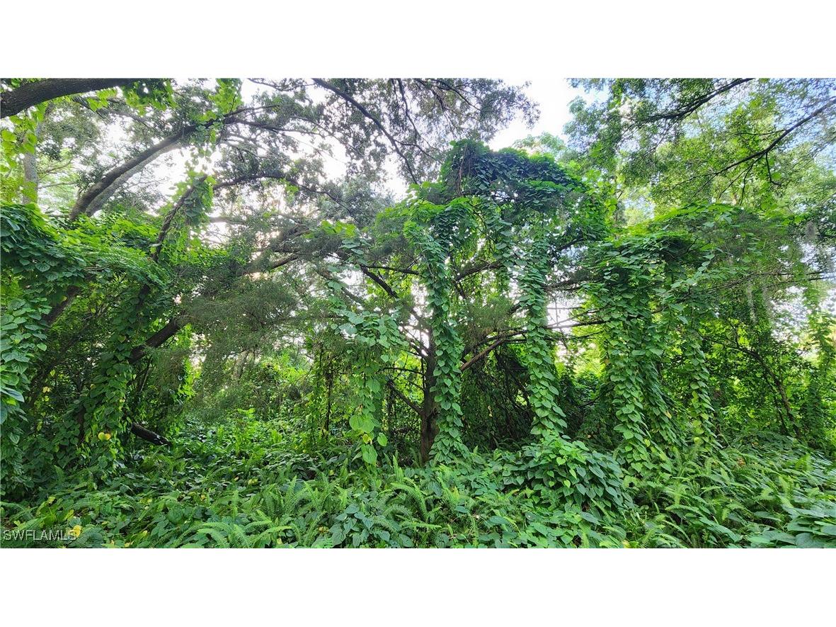 2201 S Goldenrod Road Orlando FL 32822 224078872 image2