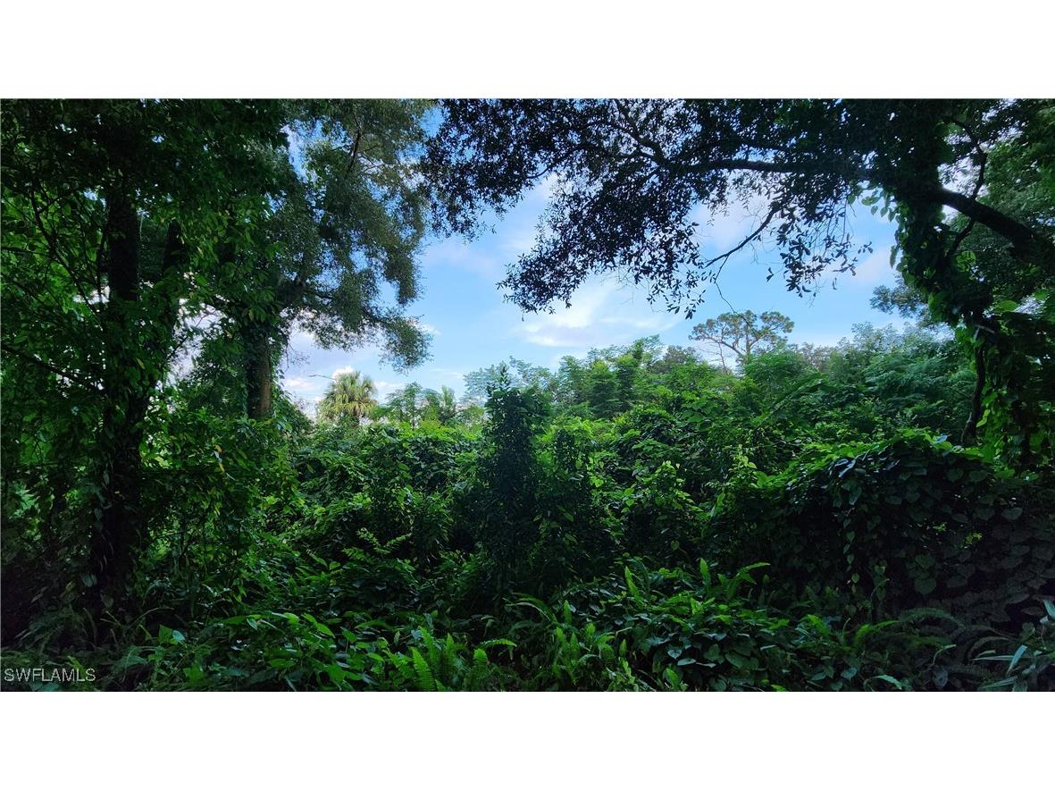 2201 S Goldenrod Road Orlando FL 32822 224078872 image7