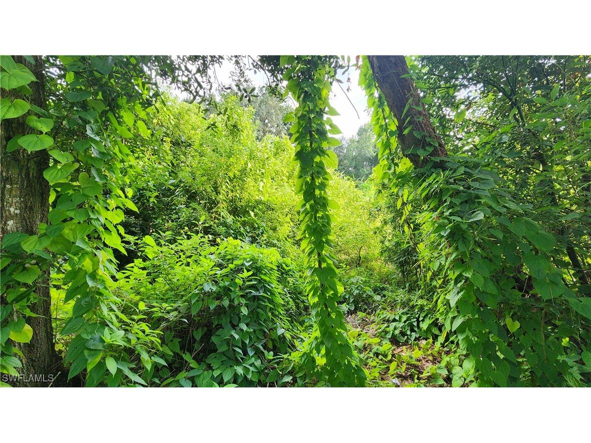 2201 S Goldenrod Road Orlando FL 32822 224078872 image8