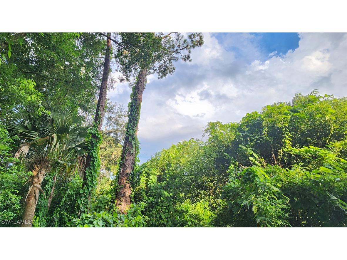 2201 S Goldenrod Road Orlando FL 32822 224078872 image9